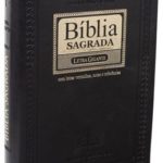 Bíblia Média LG (Ind. PJV Preto)