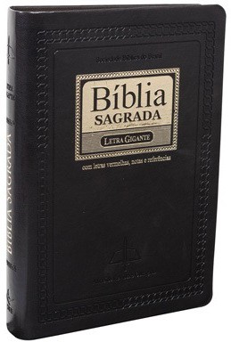 Bíblia Média LG (Ind. PJV Preto)