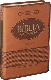 Biblia Sagrada Letra Gigante Capa Emborrachada Marrom Claro Com Indice RA