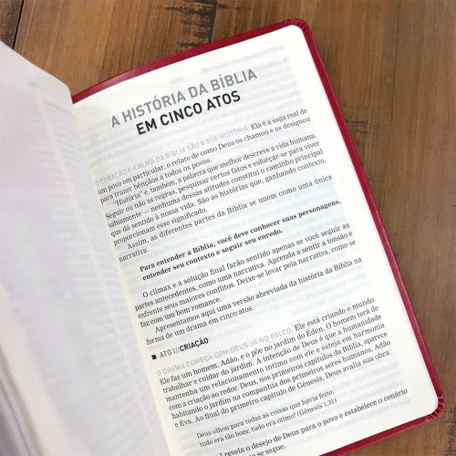A Bíblia A Mensagem - Letra Gigante | Capa Luxo Vermelha - Imagem 8