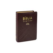 Biblia sagrada NAA Letra Grande- compacta