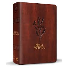 Bíblia Mulheres | Viviane Martinello | NVT | Espaço Para Anotações | Capa Luxo Oliveira Marrom