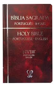 Bíblia Sagrada Português-inglês Holy Bible NVI - Capa Vermelha