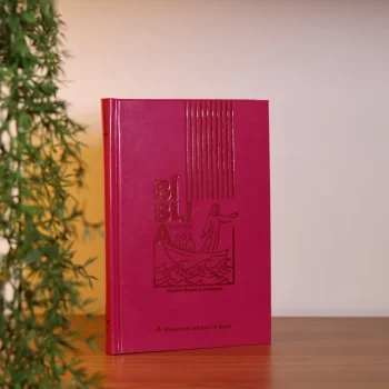 Bíblia Sagrada Jesus no Barco ARA Capa Dura Pink